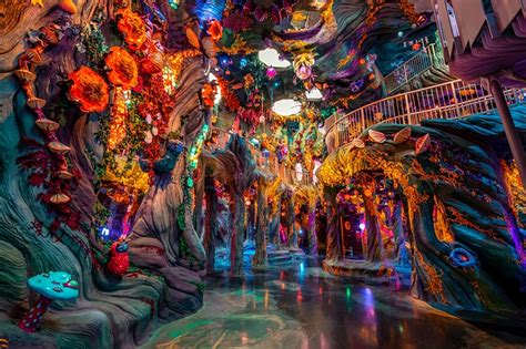 Get 51 Meow Wolf coupon codes and promo codes at CouponBirds. . Meow wolf convergence station coupon code